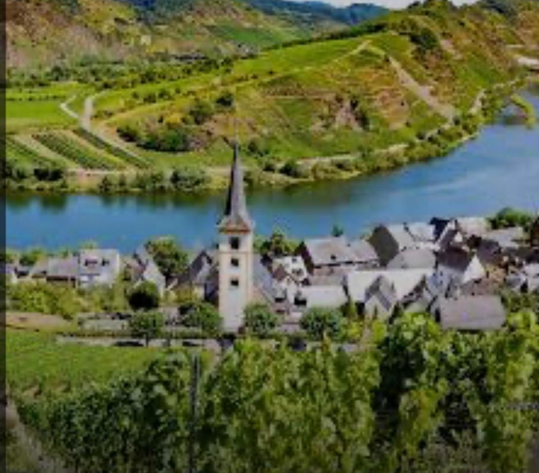 Ferienwohnung Eifel Mosel Hunsrueck Bergweiler エクステリア 写真